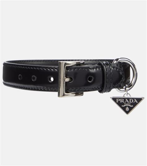 prada dog colar|real designer dog collars.